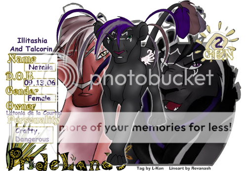 User Image